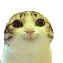 owo_cat custom emote | Venom Foundation (11M $VENOM Quests Live)