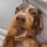 emoji_49 animated Discord emote from 𝐃𝐌𝐍  𝐂𝐎𝐌𝐌𝐔𝐍𝐈𝐓𝐘