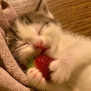 A tiny kitten sleeping peacefully while holding a red strawberry between its paws.