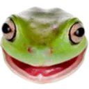 OSFrog