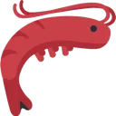 reverse_shrimp