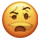 emoji_48
