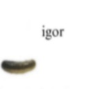 igor Discord Emoji - CGH:Multiverse