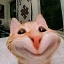 catsmile