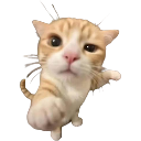 Kitty Discord sticker from Brewish | Roblox Cafe Game