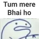 bhaichara