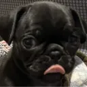 3_
