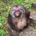 MANKY custom emote | 𝖘𝖆𝖎𝖓𝖙𝖘 𝖔𝖛𝖊𝖗 𝖍𝖊𝖆𝖛𝖊𝖓