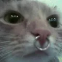 me