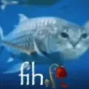 fih
