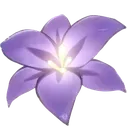 ec_flower1