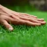 pd_touchgrass
