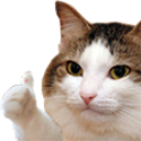 Nice Discord Emoji from BloxDen