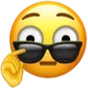 x1