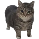 Ethel