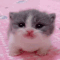 :emoji_1: