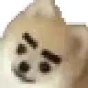 wowdog