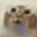 durr