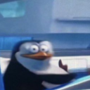 20260511000210 custom emote | דושי גאנג