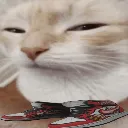 huhcat_dohodyaga