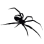 spideer