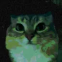 No_Im_Not_A_Cat No_Im_Not_A_Cat