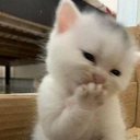Siddhi_hehe Discord Emoji - ♡ Dhadkan || Chill・Social・Dating・Hindi・Fun・Active・VC