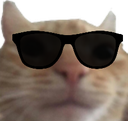 rizz_catcool Discord sticker - ♡ Dhadkan || Chill・Social・Dating・Hindi・Fun・Active・VC