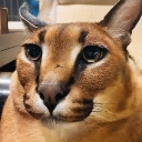 :__1: