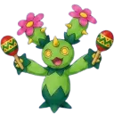 maractus_maracas