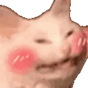 CattoBlushies
