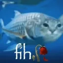 fih