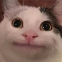 cat_bruh Discord emoji