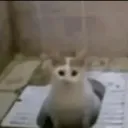 20260512221718