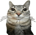arewedeaduzz Discord emoji