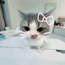 uwucat Discord emoji