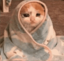 cry Discord emoji
