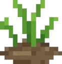 grassdirt