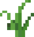 grass