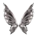 02_butterfly