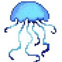 01_jellfish
