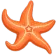 01_starfish