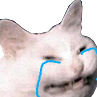 cattocry Discord Emoji - Lovescape