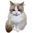 239780cutecattongue custom emote - sellers.gg