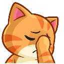 5014catfacepalm