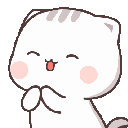 9662catclap animated emote | sellers.gg