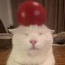 tomatohead