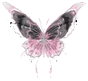 Butterfly_haveli