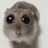 plead Discord emoji