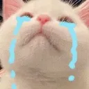 Billu_cry